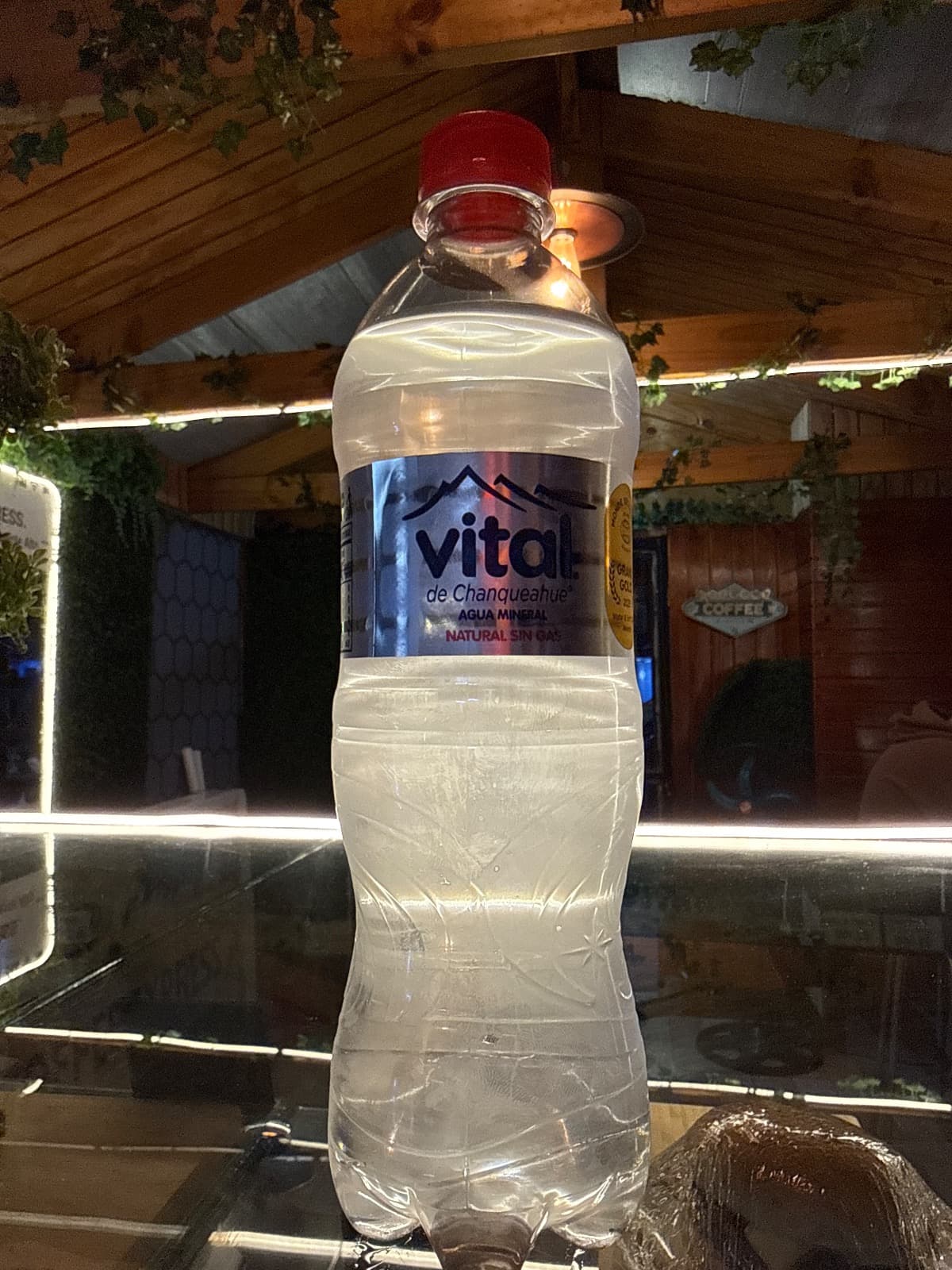Agua Mineral S/Gas