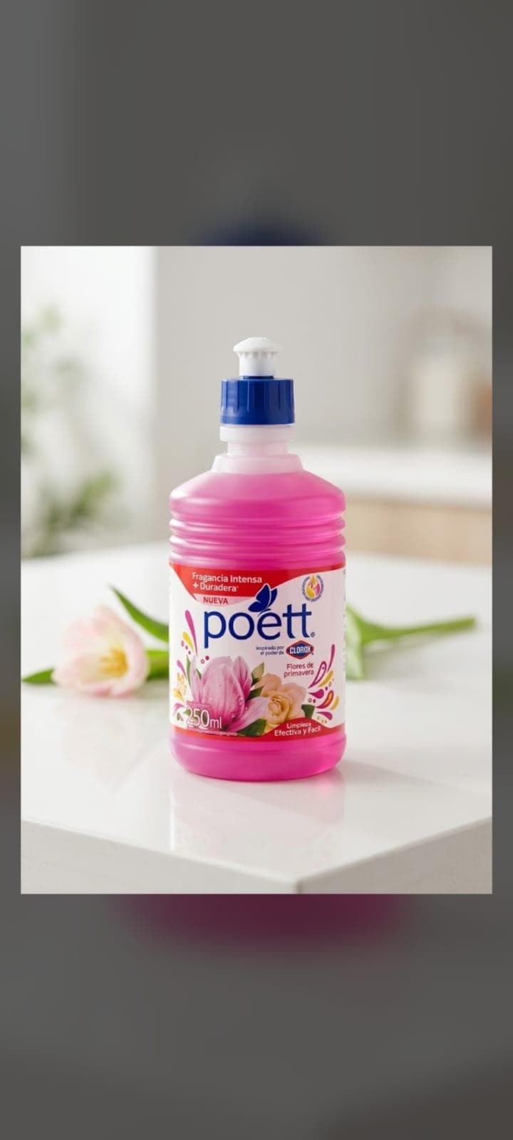 Poett flores de primavera