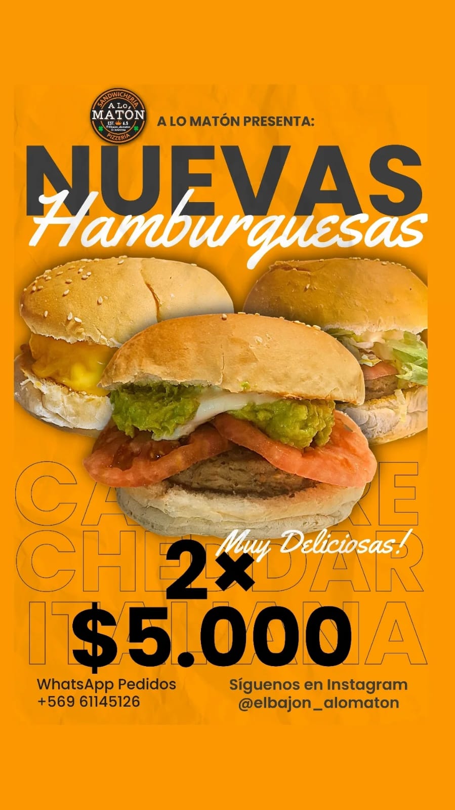 Hamburguesas (carne, cheddar o italiana)